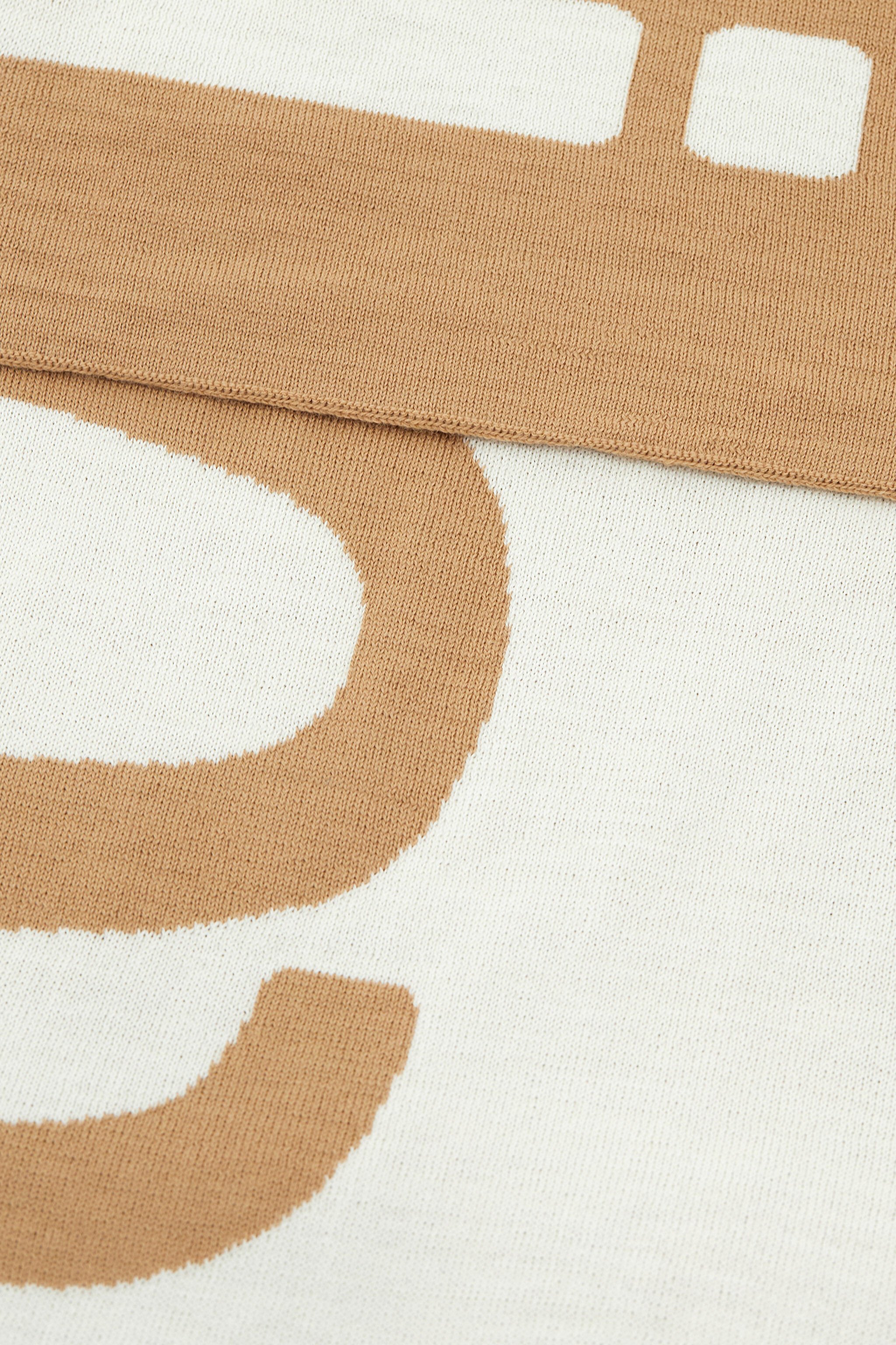 RC Wool Blend Scarf with Logo Light Brown TALR37-IR054