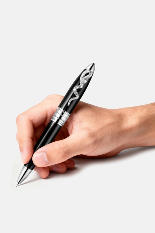 RC PENNA ROBERTO CAVALLI Nero/Argento SALT5H-IT407