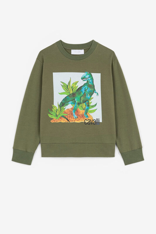 JU Felpa con stampa dinosauri Verde QJT924-CF050