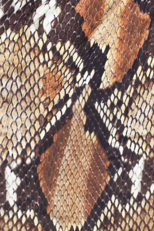 RC Python print midi dress Brown UWT137-LNN93