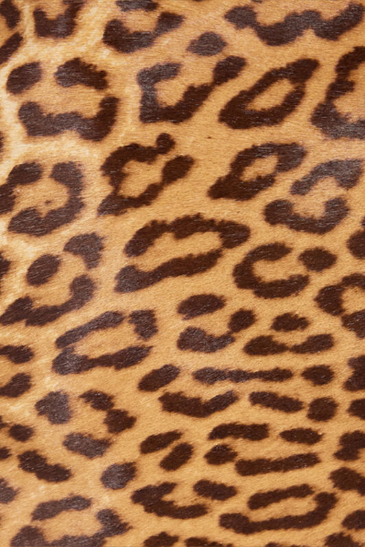 RC Minigonna In Pelle Con Stampa Leopard Skin Marrone VKP300-ZV012
