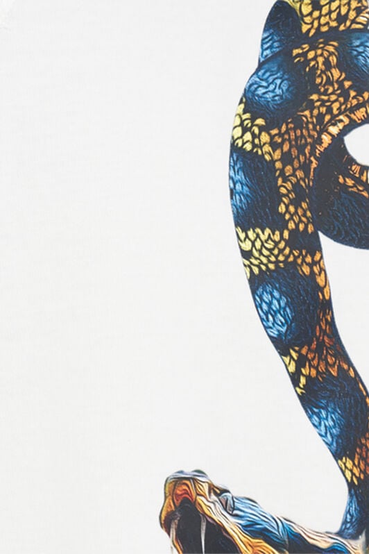 RC Oversized T-shirt with Snake Print RC Oversized T-shirt with Snake Print WHITE WRT62B-JD060