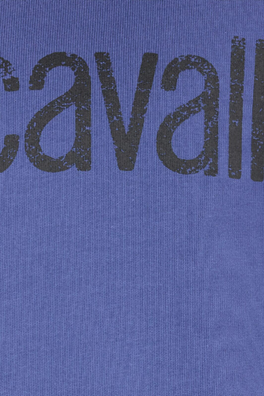 RC T-Shirt Mit Logo Im Used-Look Navy POT62A-JD060