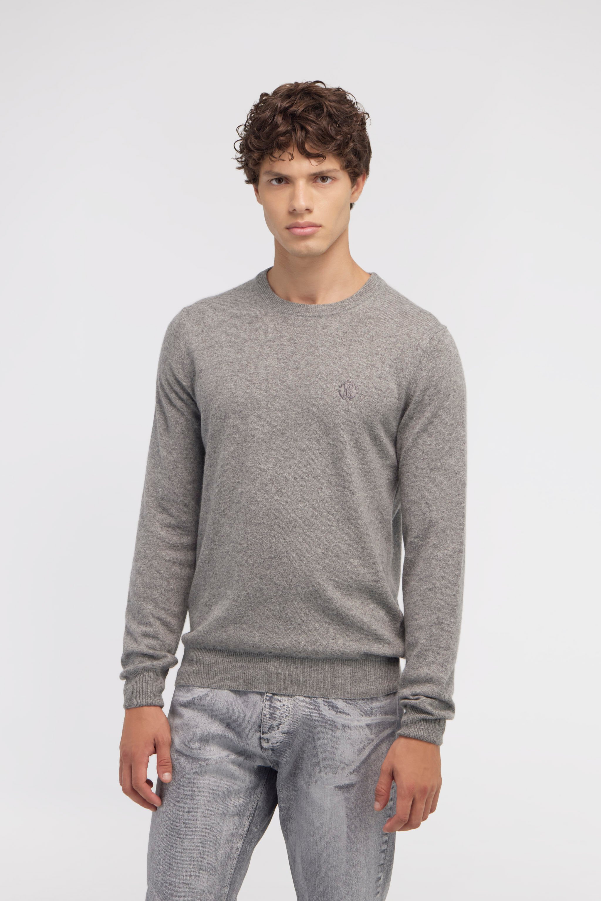 RC Wool sweater with Monogram Mirror Snake Grau NOM01A-MI014