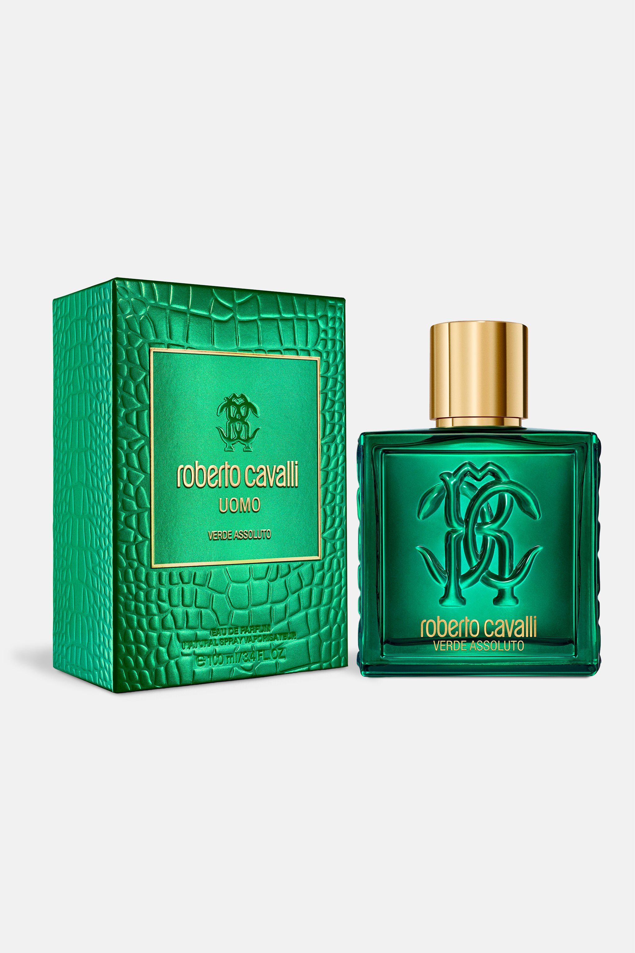RC Verde Assoluto 100ML GENERIC WALI01-II042
