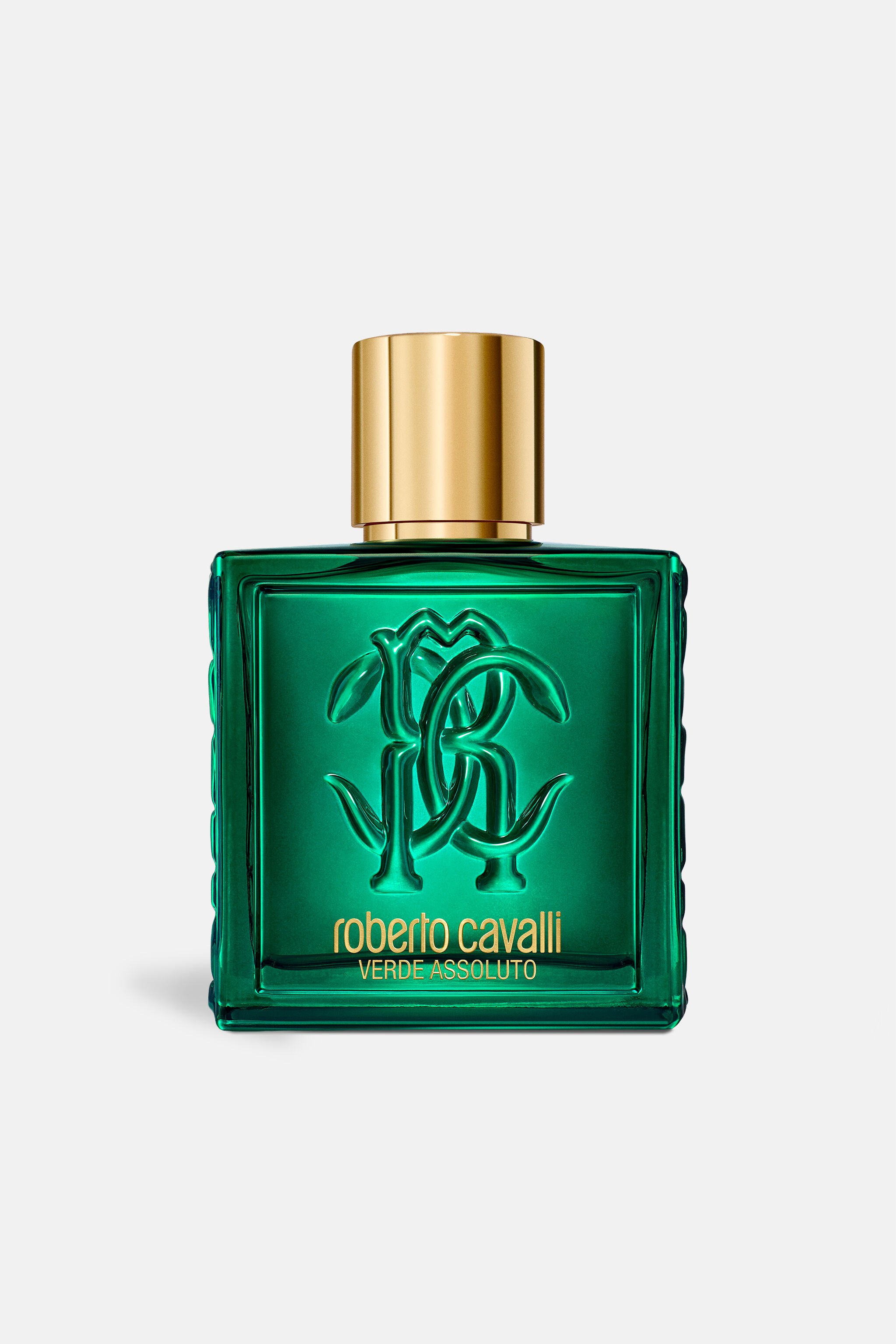 RC Verde Assoluto 100ML GENERIC WALI01-II042
