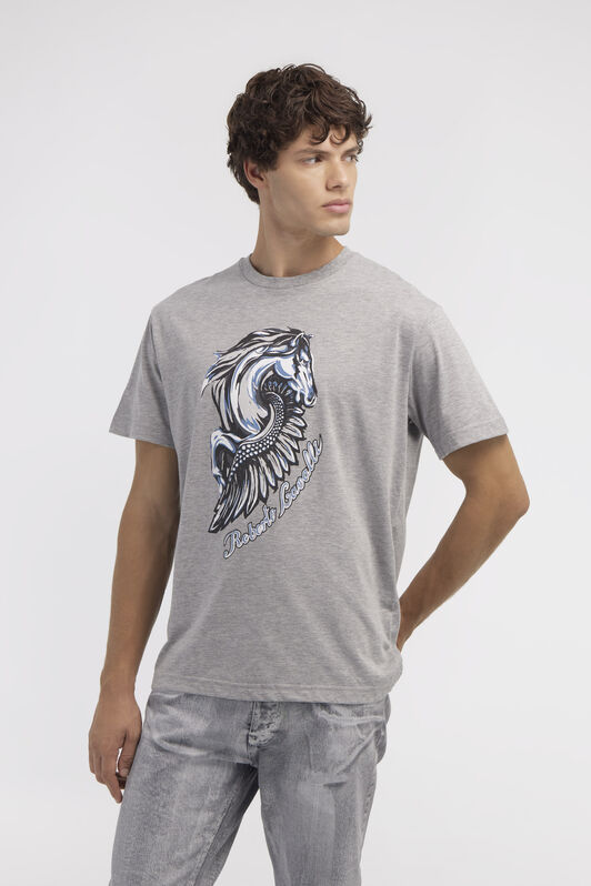 RC T-shirt with Horse logo and print Gray NOT60P-JD016
