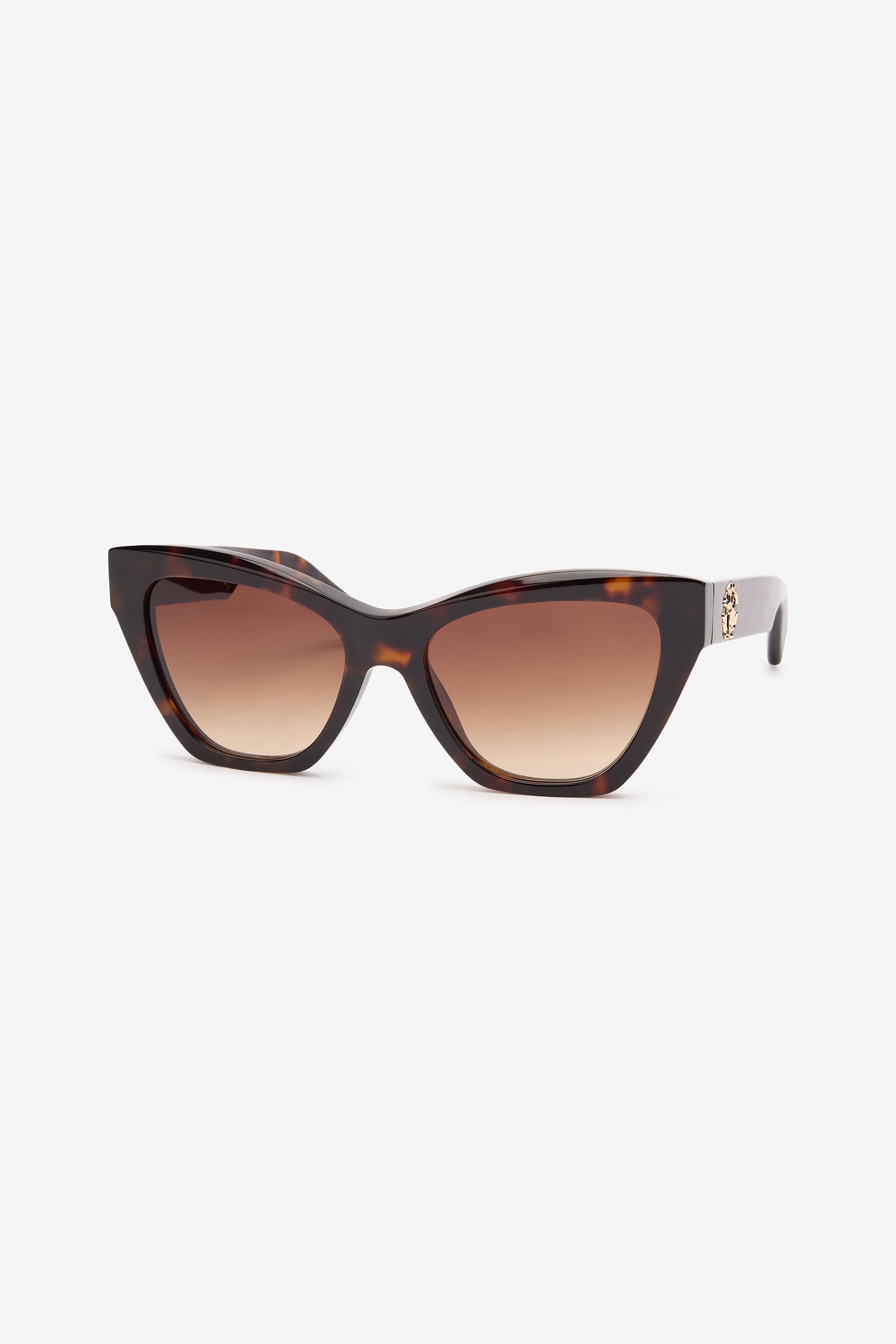 RC Sunglasses Roberto Cavalli Brown SALD44-ID155
