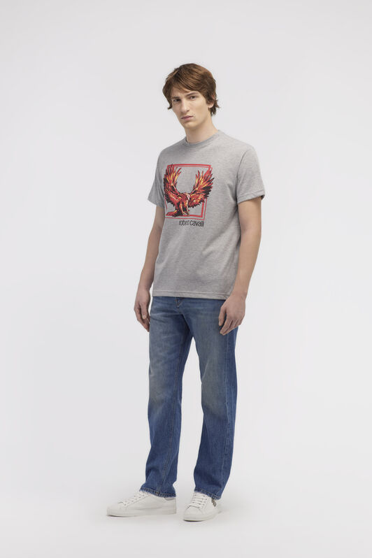 RC T-shirt with Eagle logo and print Gray NOT60E-JD016