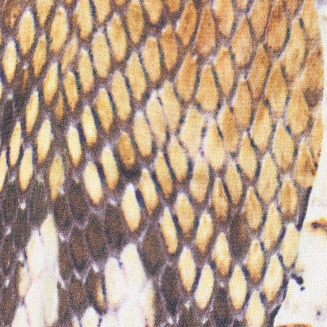 RC T-shirt Imprimé Python Marron clair UWT605-KWN93