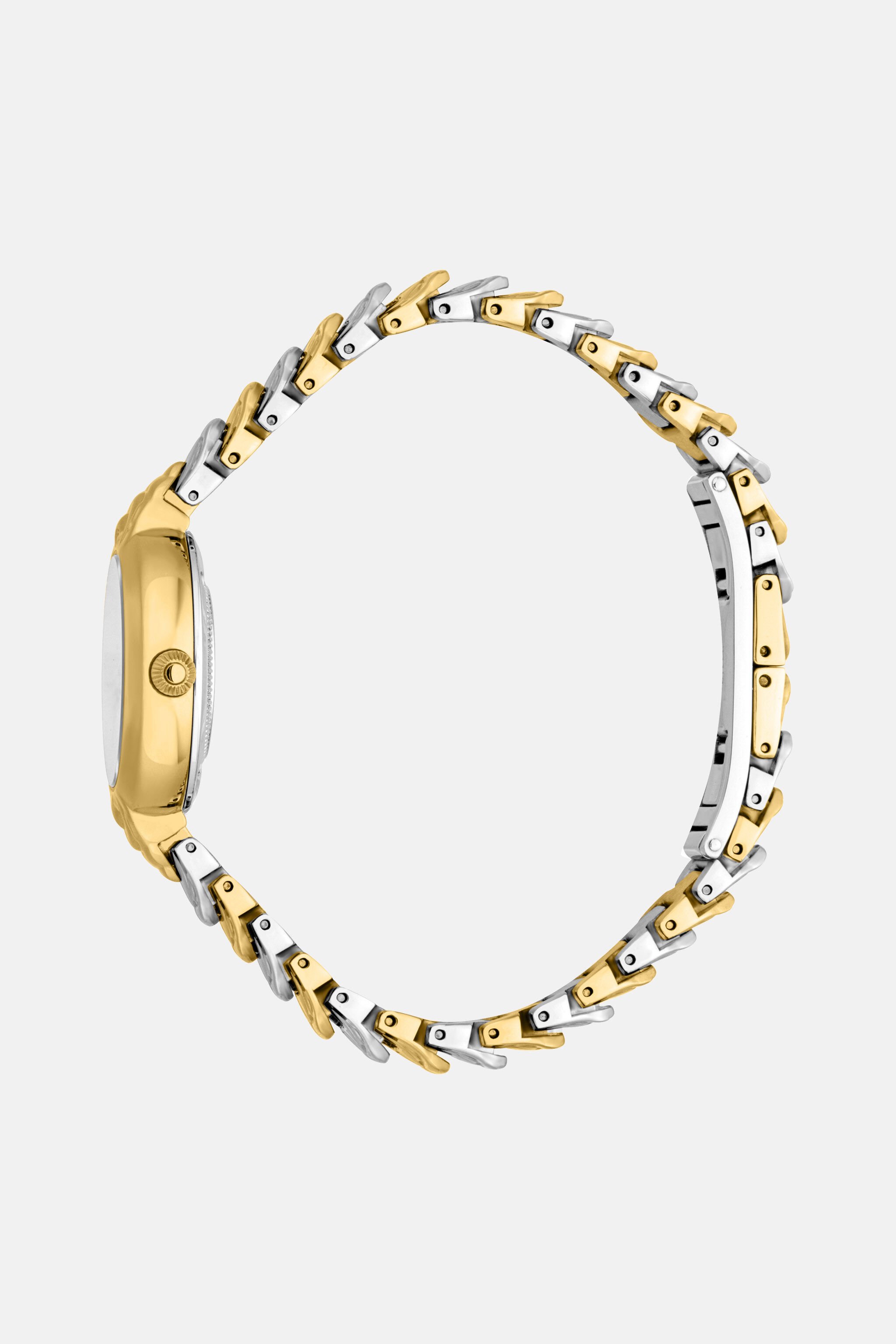 RC Roberto Cavalli by Frank Muller Logo watch Silver/Gold SALG22-IG166