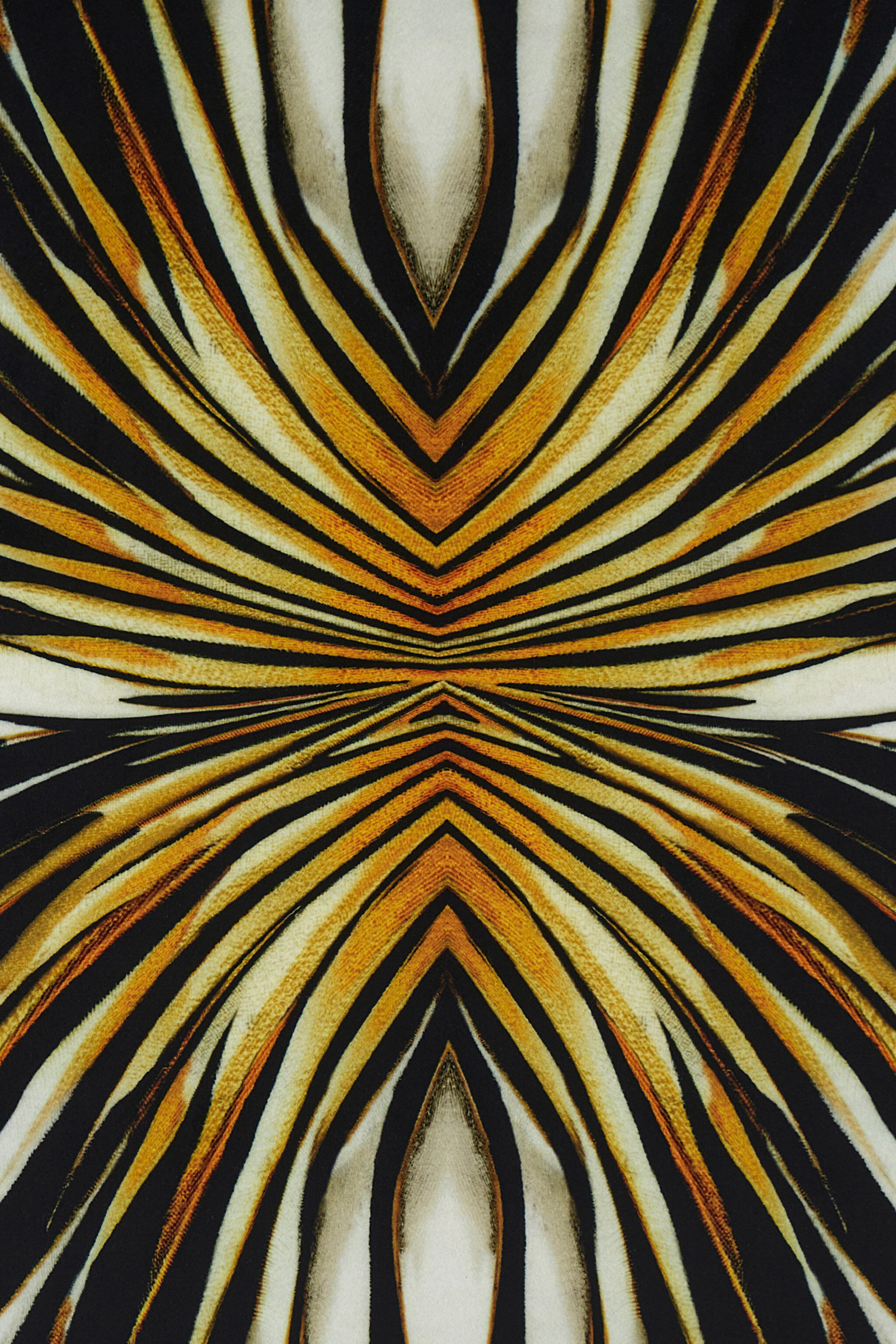 HO Kissen mit Print Ray of Gold Gold SALM44-IM084