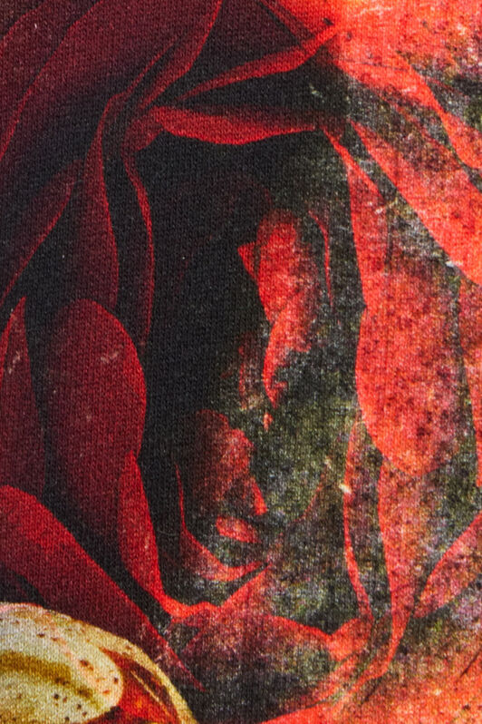 RC Roses And Snake Print Sweatshirt Red URT68C-5ON67