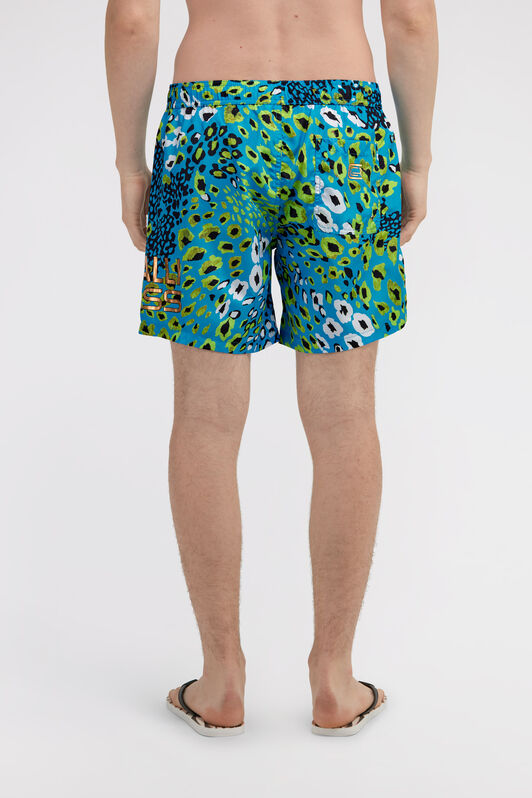 CL Boxer mare Leopard Blu SXH00A-5LN03
