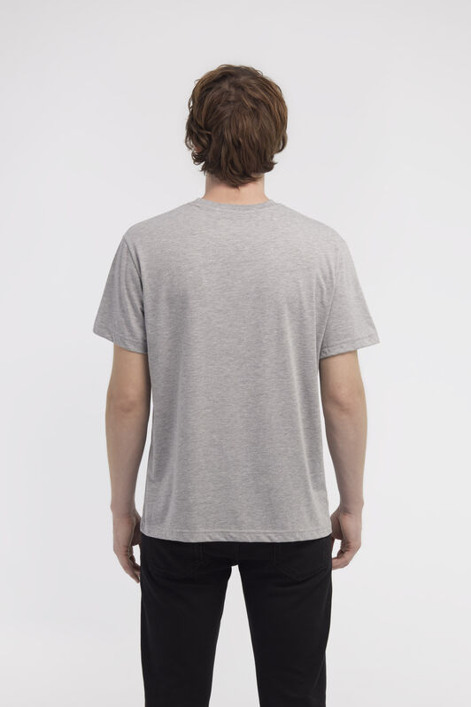 RC T-shirt with Snake print Gray NOT60S-JD016