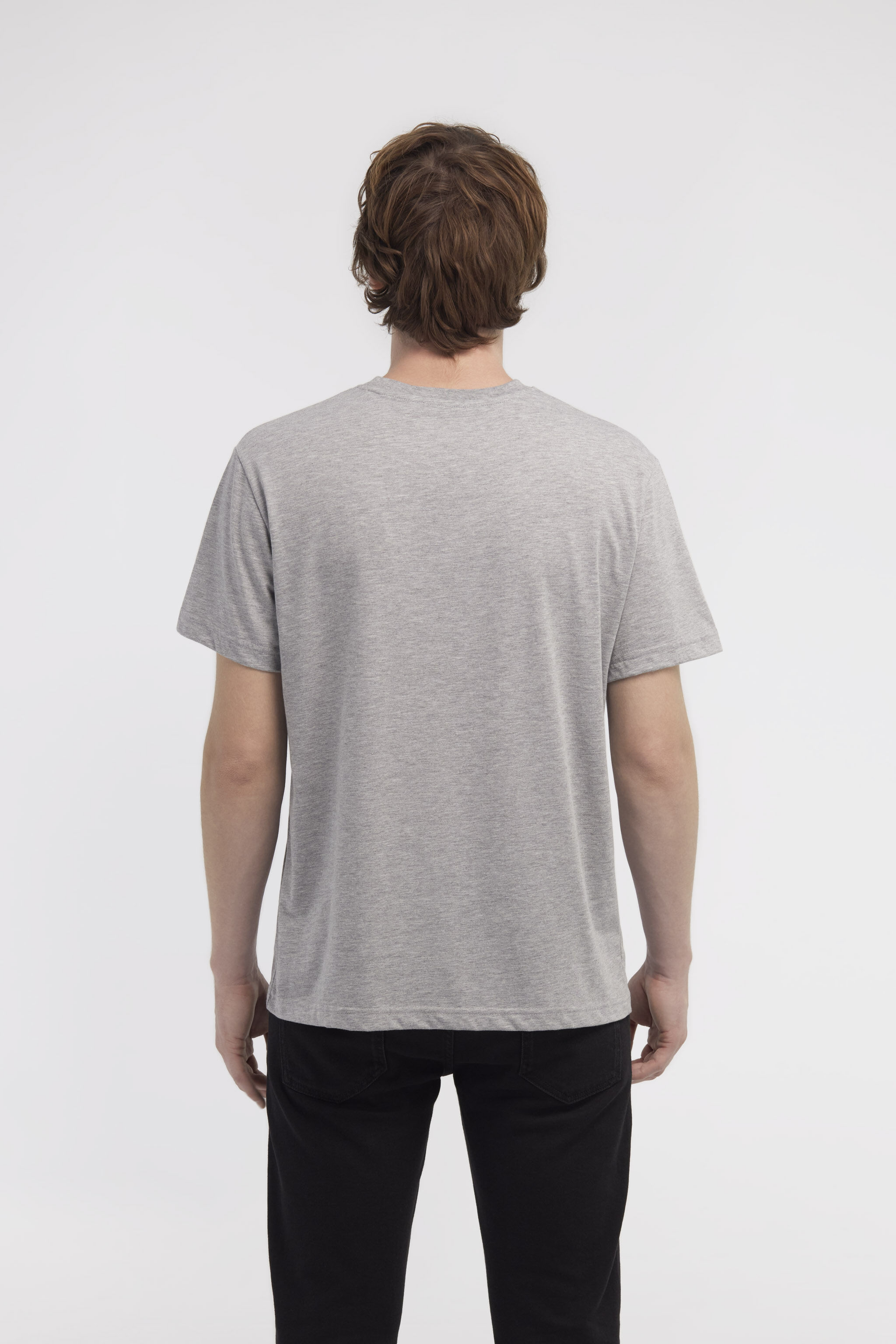 RC T-shirt with Snake print Gray NOT60S-JD016
