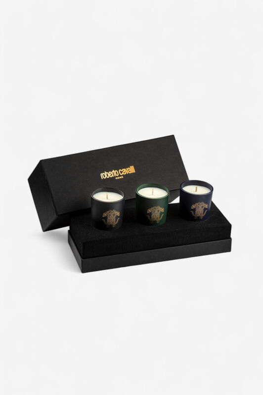 HO Gold Jungle Set of Three Scented Candles 80 G Multicolor TALA02-IA096