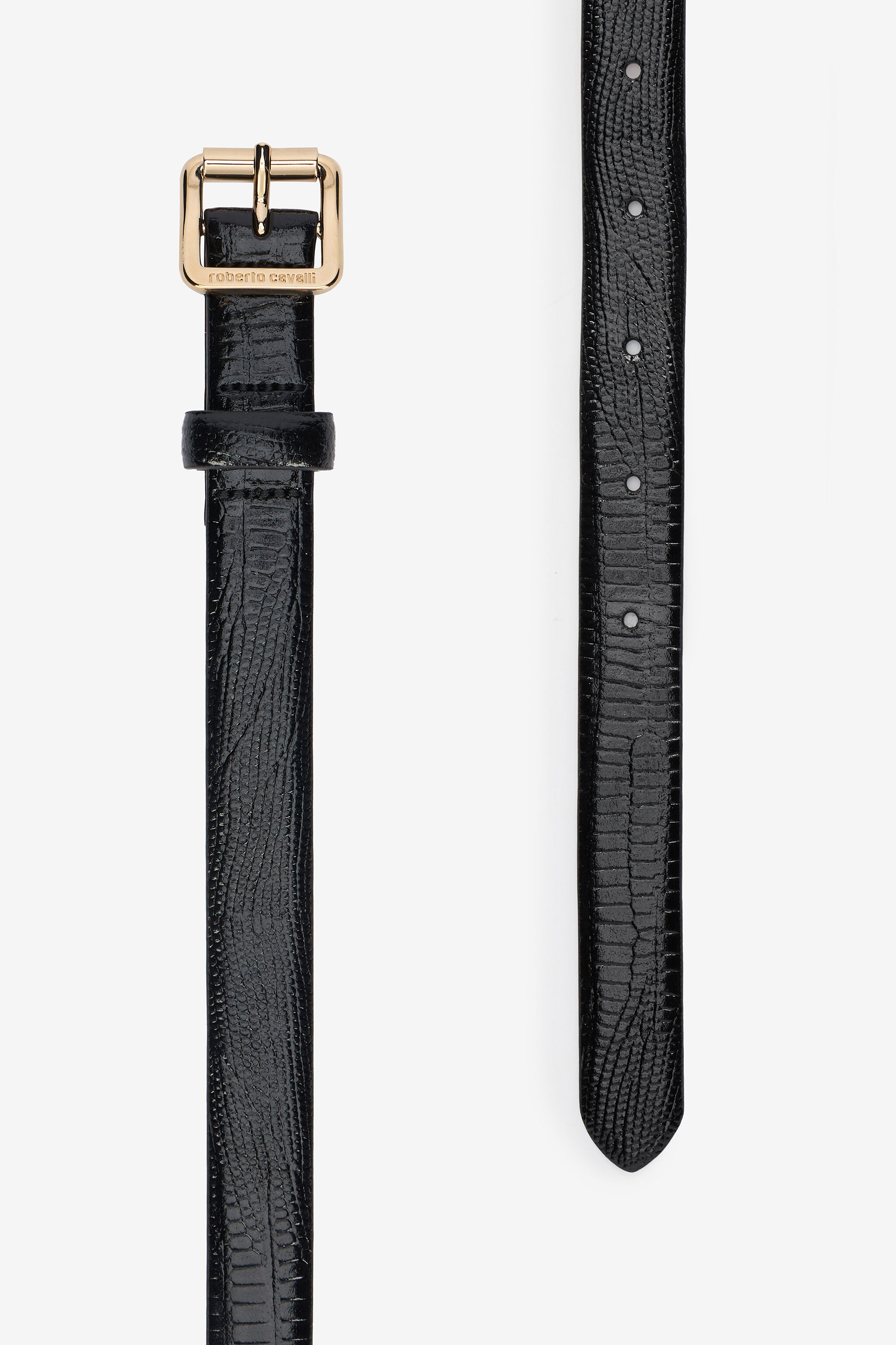 RC Black Belt with Cobra Print Black VWC002-PZ119