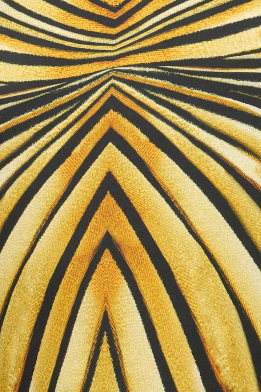 RC Ray Of Gold Print T-Shirt RC Ray Of Gold Print T-Shirt BLACK IVORY TRT62A-4QM76