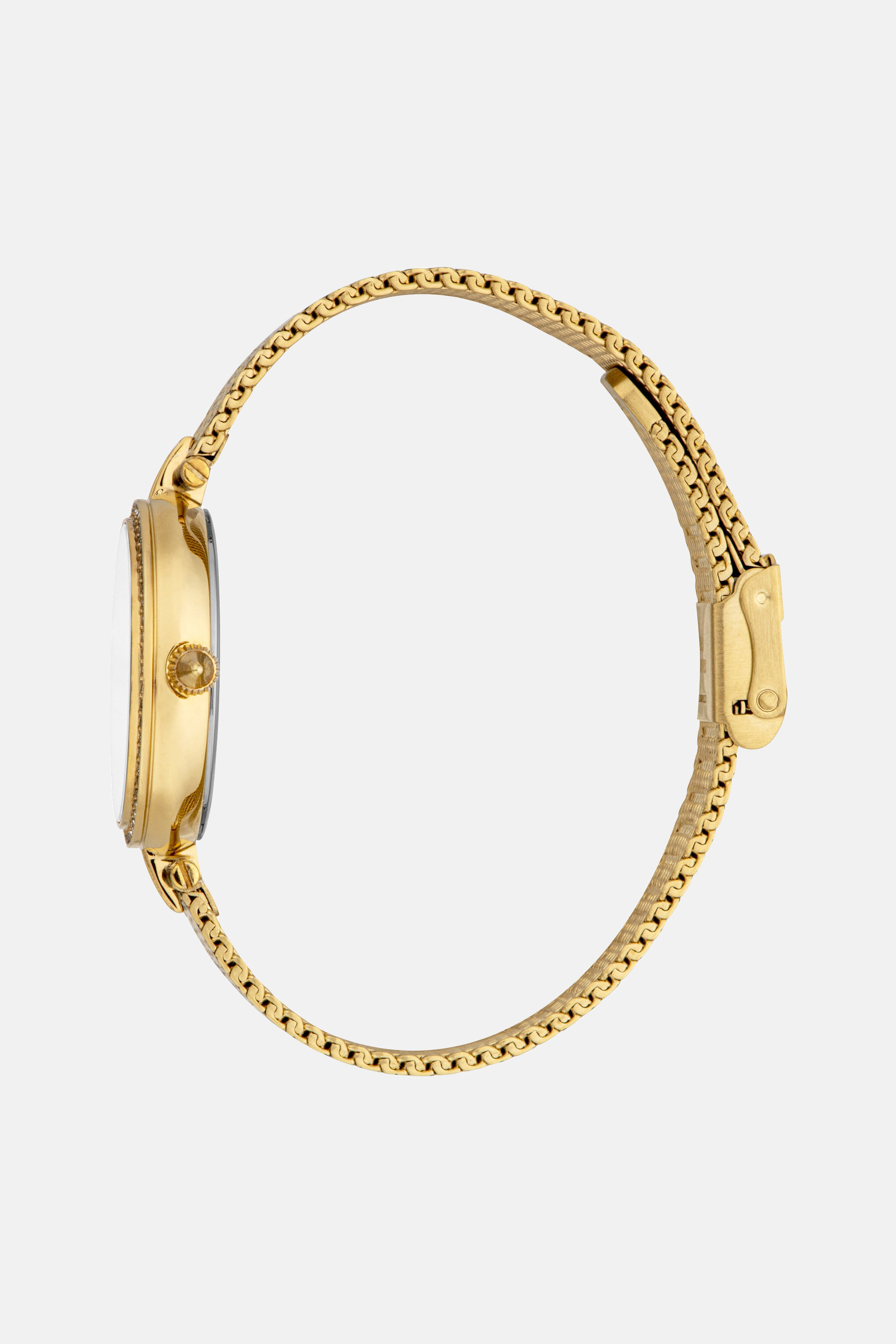 JC Just Cavalli Snake watch Or SALT1G-IT311