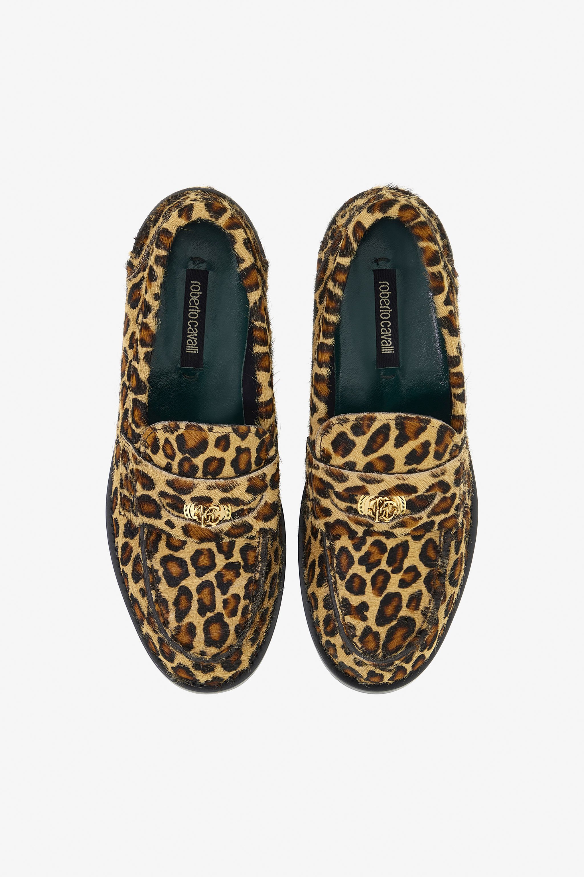RC Jaguar Print Mocassins Marron TKS028-PZA92