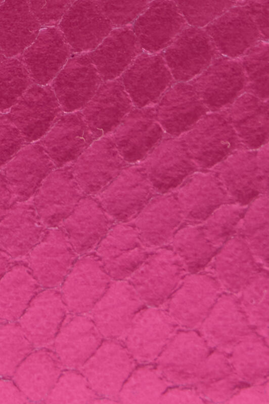 RC Coin Purse with Snake Print Fuchsia TKA005-PZ579