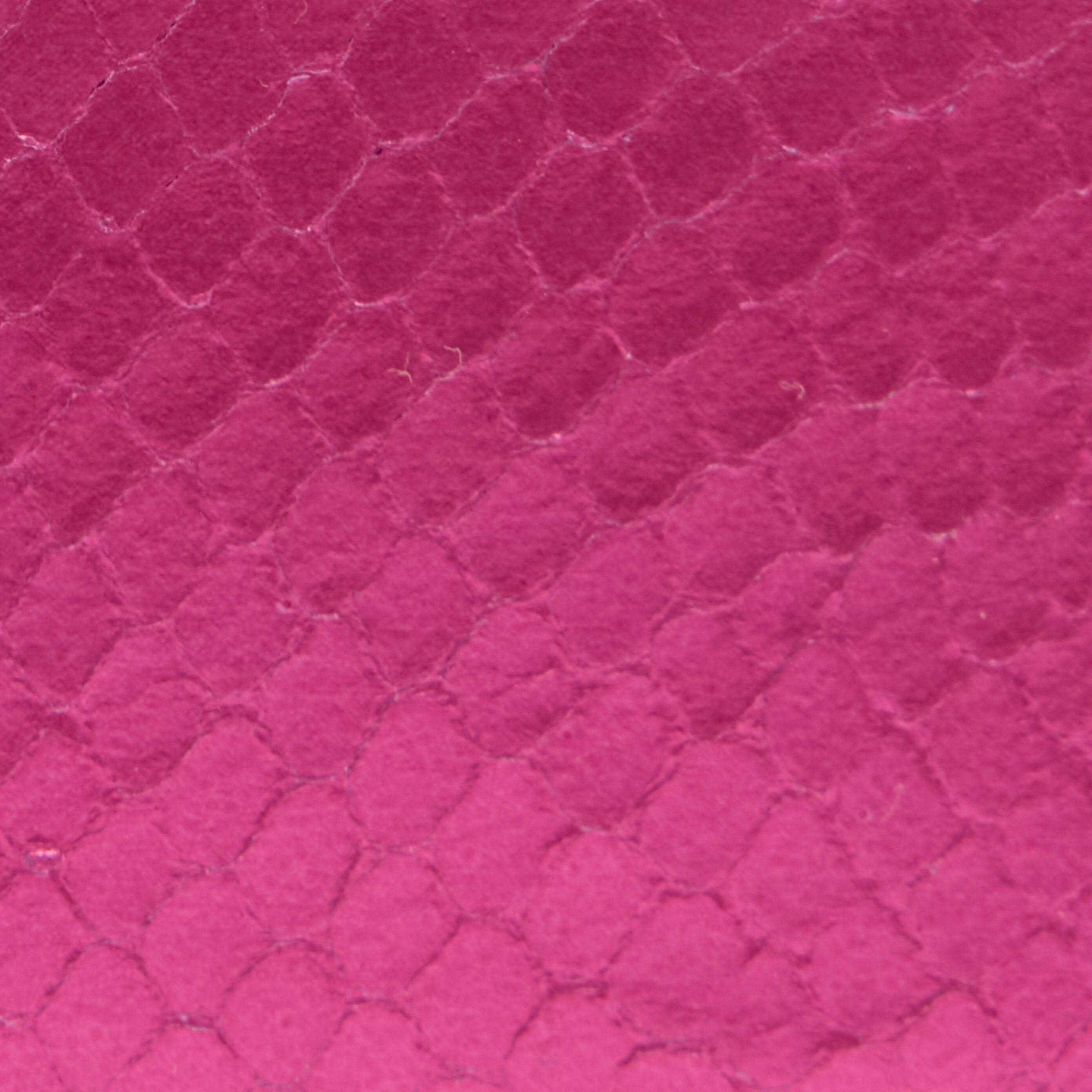RC Coin Purse with Snake Print Fuchsia TKA005-PZ579