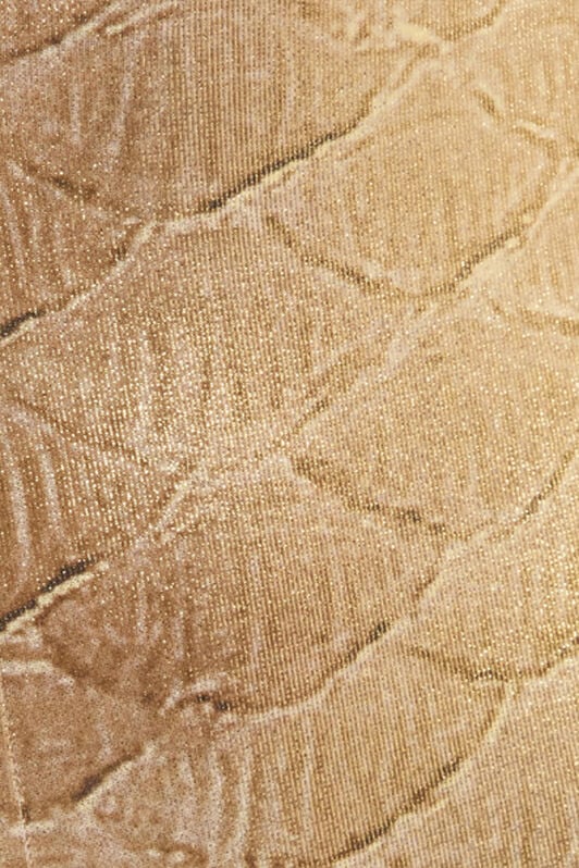 RC Golden Beige Bodysuit with Scale Print BEIGE/GOLD WWT604-OOS31