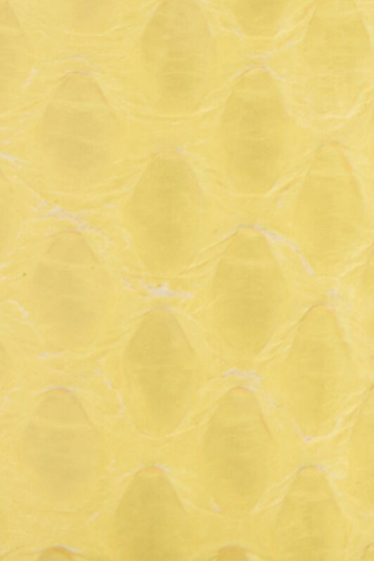 RC Yellow Leather Belt With Snake Buckle RC Yellow Leather Belt With Snake Buckle YELLOW WKC002-PA001