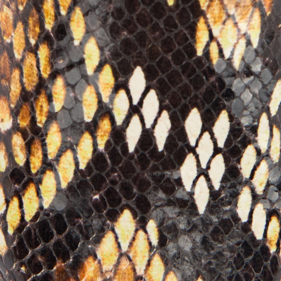 RC Stivali Texani Con Stampa Python Marrone UWS001-PN053