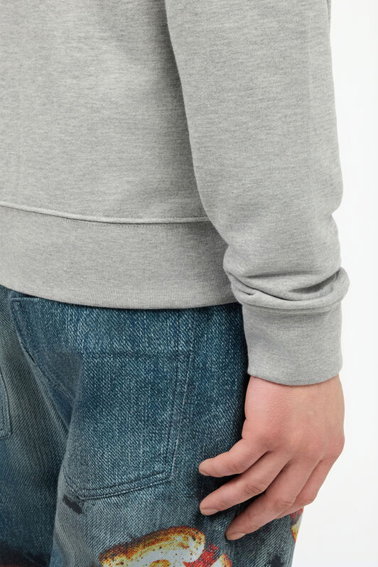 RC Grey Hoodie with Zip RC Grey Hoodie with Zip GREY POT69A-CF052