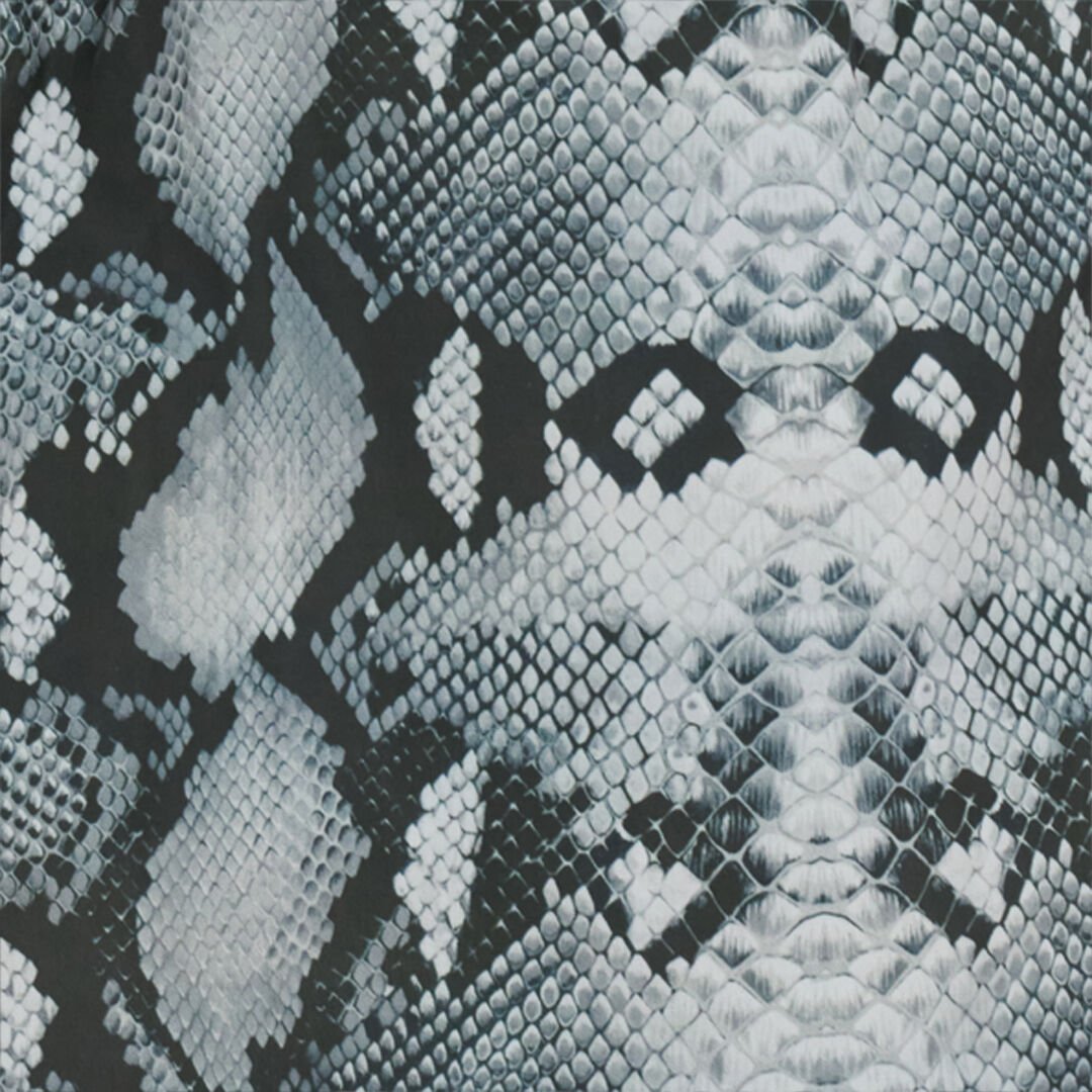 RC Bañador Corto con Estampado de Serpiente RC Bañador Corto con Estampado de Serpiente GREY QOH00A-4GE01