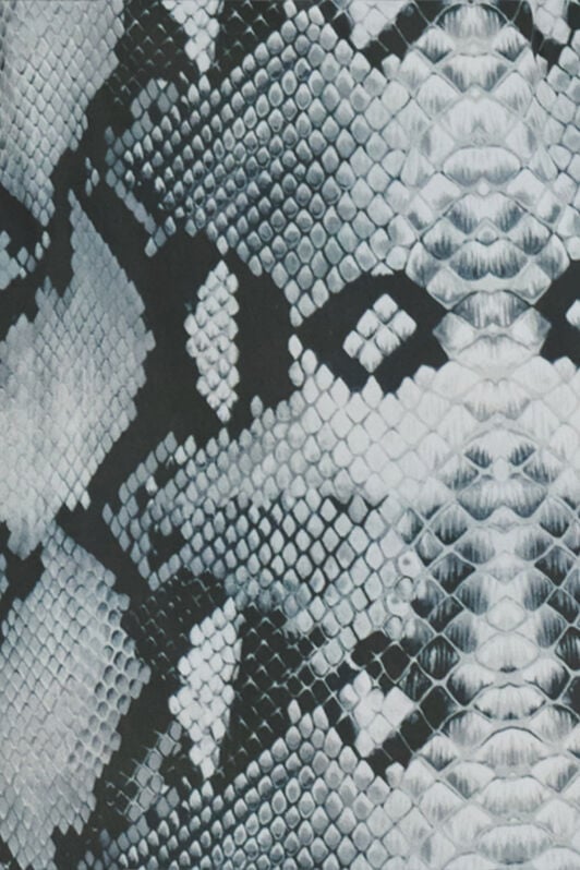 RC Bañador Corto con Estampado de Serpiente RC Bañador Corto con Estampado de Serpiente GREY QOH00A-4GE01