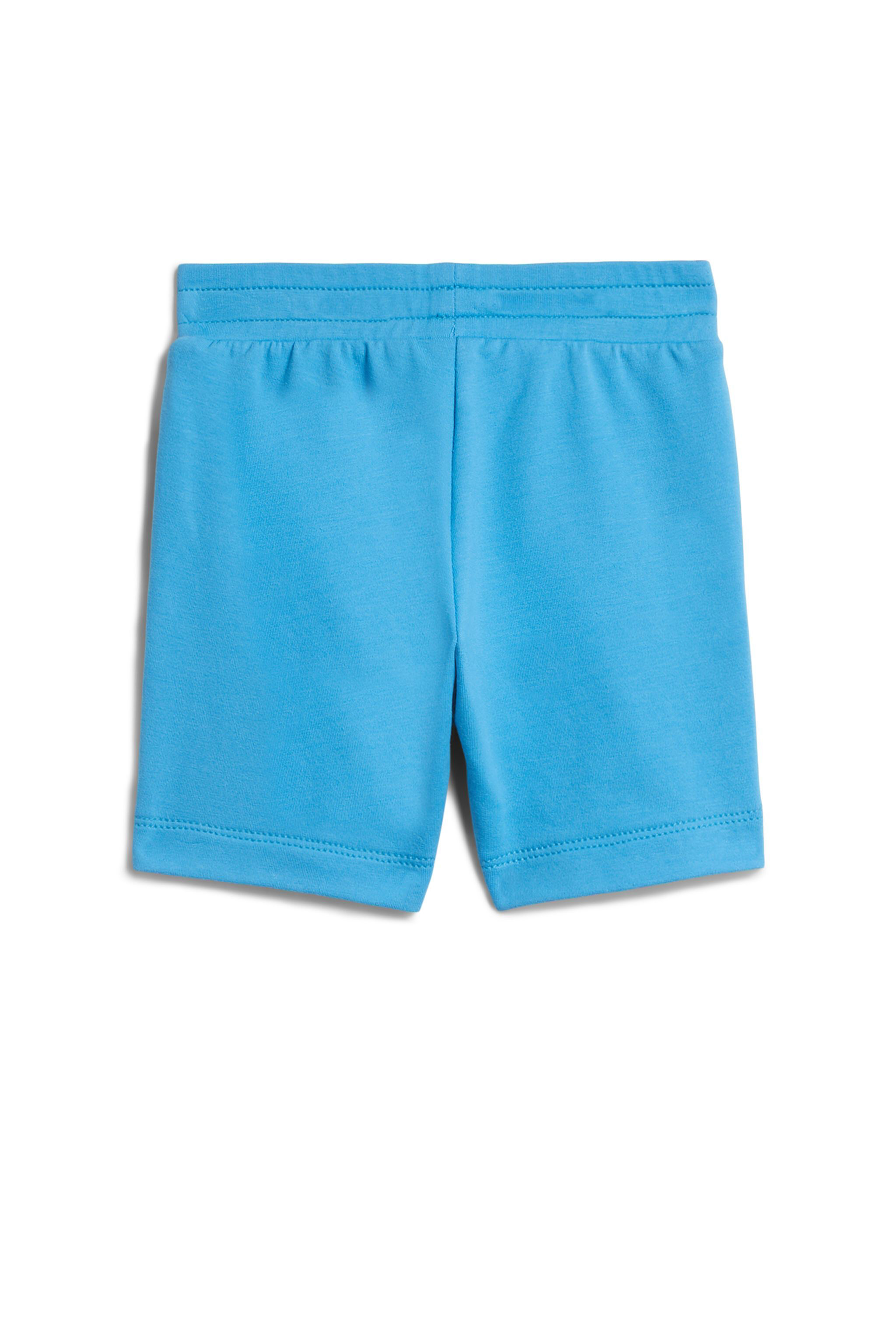 Blue Tiger Bermuda shorts in HORIZON BLUE | Roberto Cavalli®