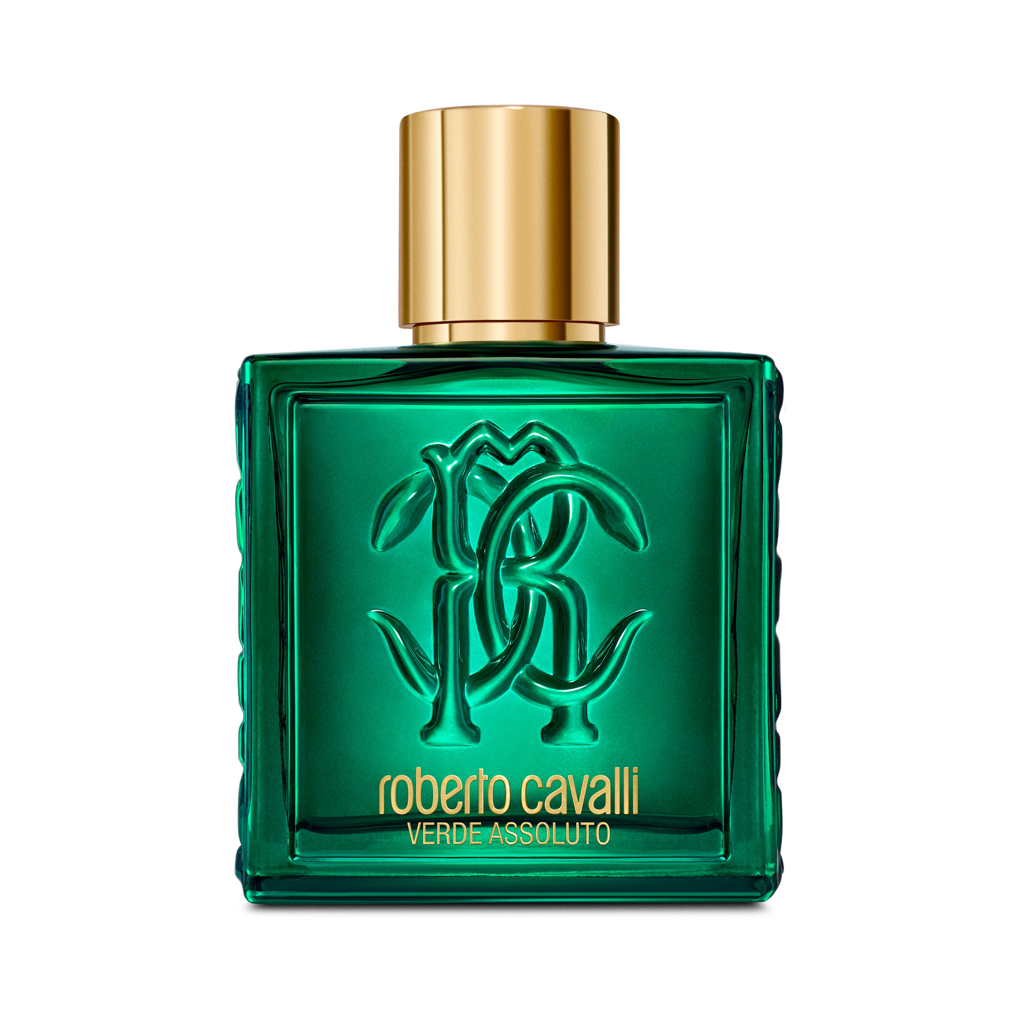 RC Verde Assoluto 100ML GENERIC WALI01-II042