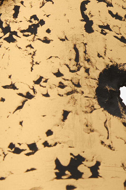 RC Bracciale Rigido Oro Anticato Con Serpente OLD GOLD WWG002-AM001