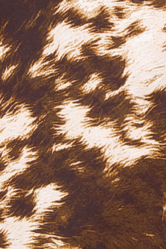 RC Appaloosa print shirt Brown TKT704-FQN08