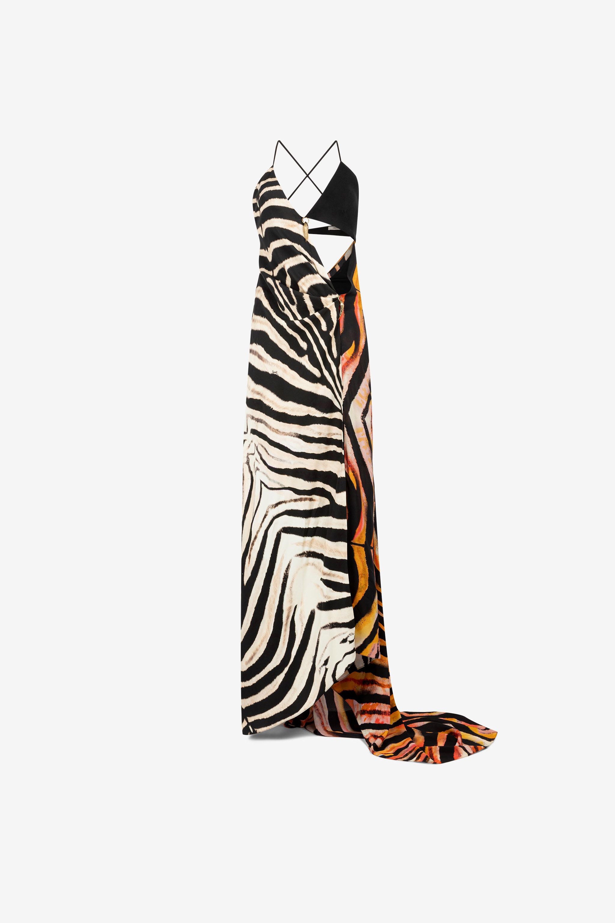 Roberto cavalli zebra dress deals