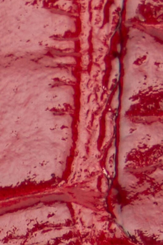 RC Cintura Rosso Orientale Con Testa Di Serpente E Cristalli ORIENTAL RED VKC004-PZ579