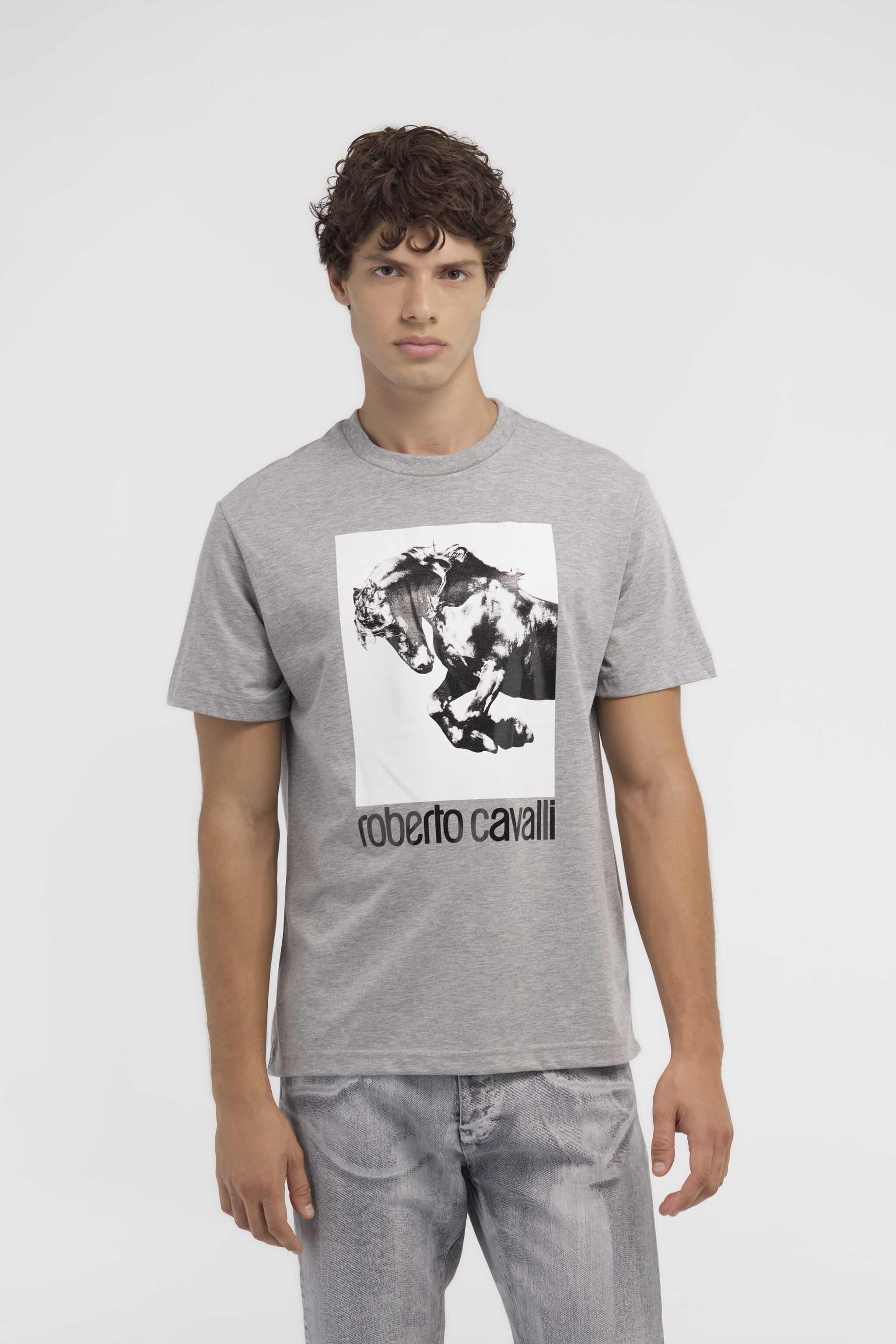 RC T-shirt con logo e stampa Cavallo Grigio NOT60D-JD016