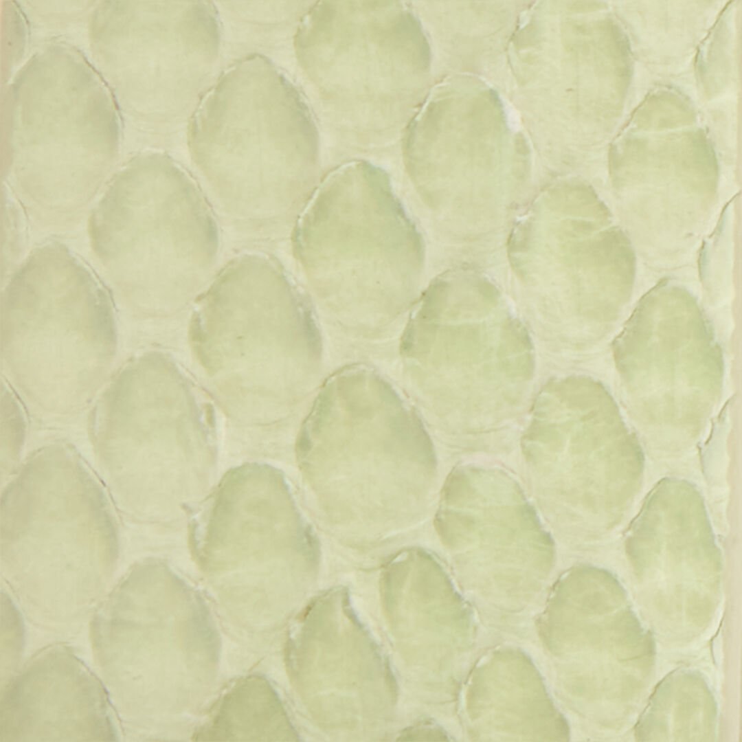 RC Cintura Verde Chiaro In Pelle Con Fibbia Serpente PISTACHIO WKC002-PA001