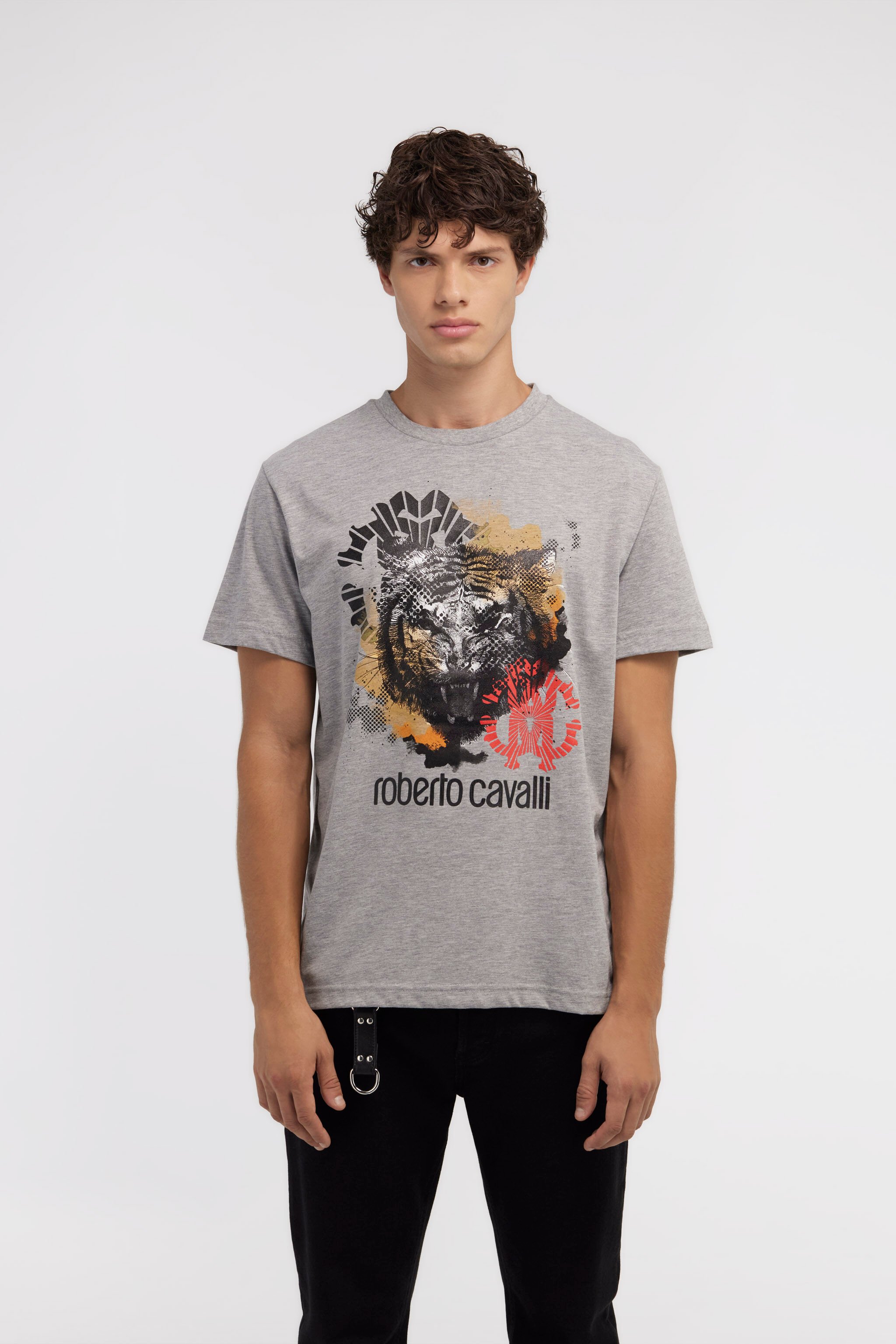 RC T-shirt with Jaguar logo and print Gray NOT60A-JD016