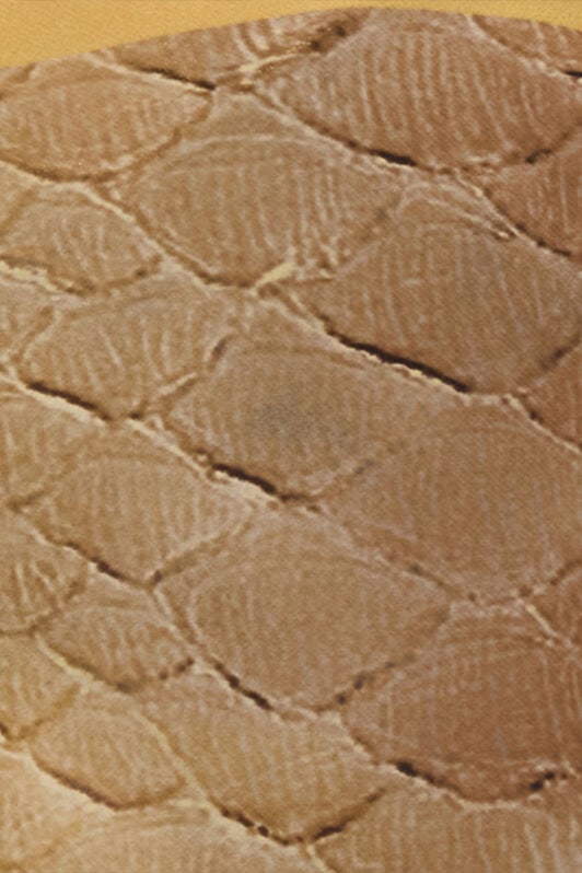 RC Silk Pareo with Beige and Sand Scale Print BEIGE/SAND WWI005-SQS31