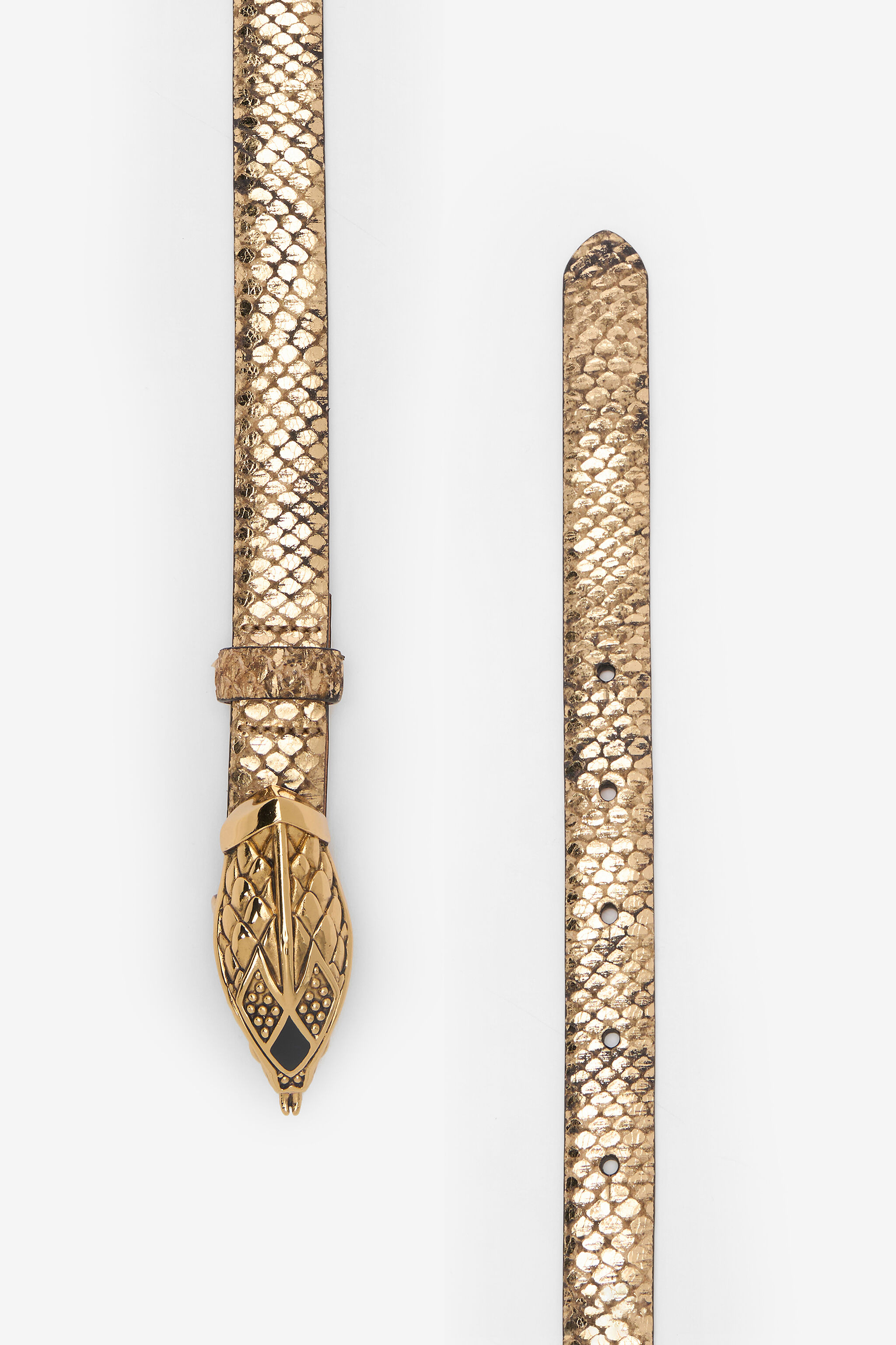 RC Golden Python Motif Belt with Snake Head Detail GOLD WWC001-PZS01