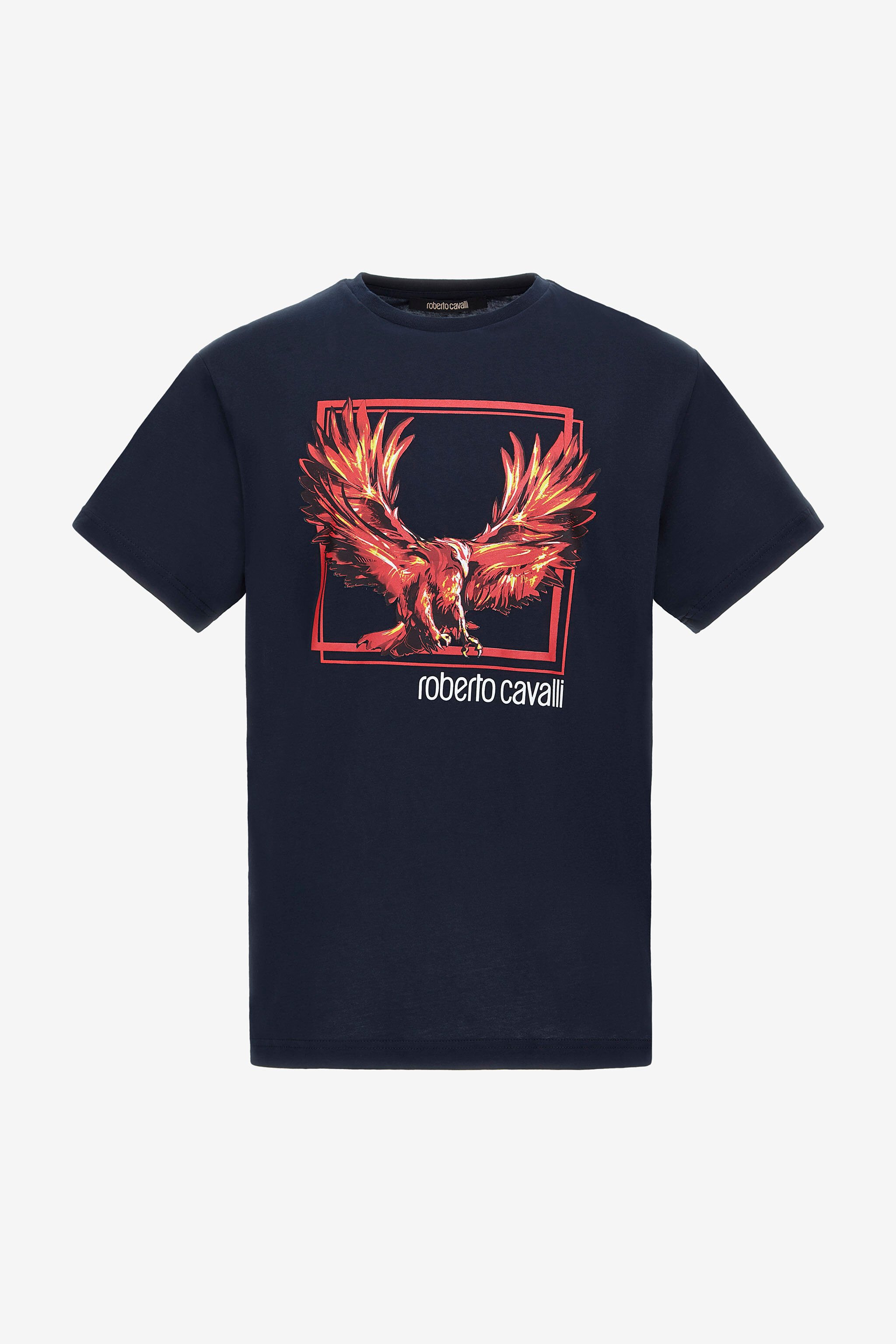 RC T-shirt with Eagle logo and print Dark blue NOT60E-JD060