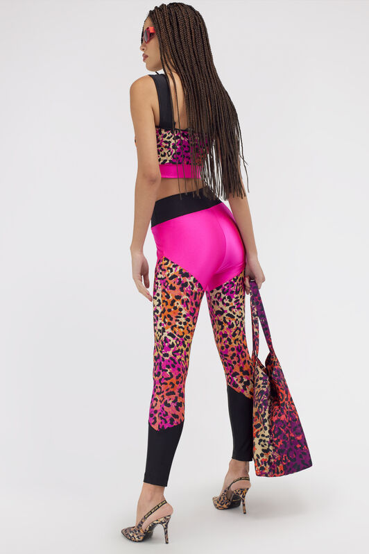JC Just Cavalli leggings Fuchsia SFT027-SF866