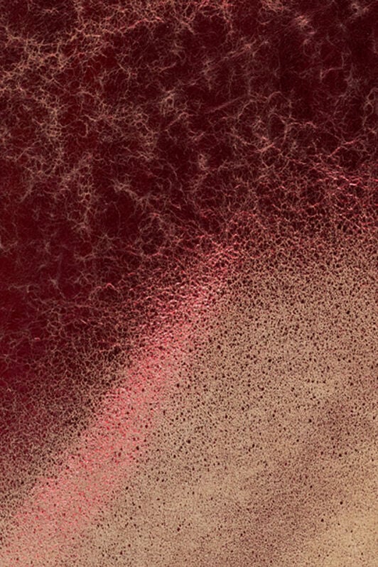 RC Metallic Leather Jacket ROSSO/FUXIA WQP400-PC002