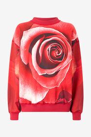 ${brand} Felpa Con Stampa Maxi Rose ${colorDescription} ${masterID}