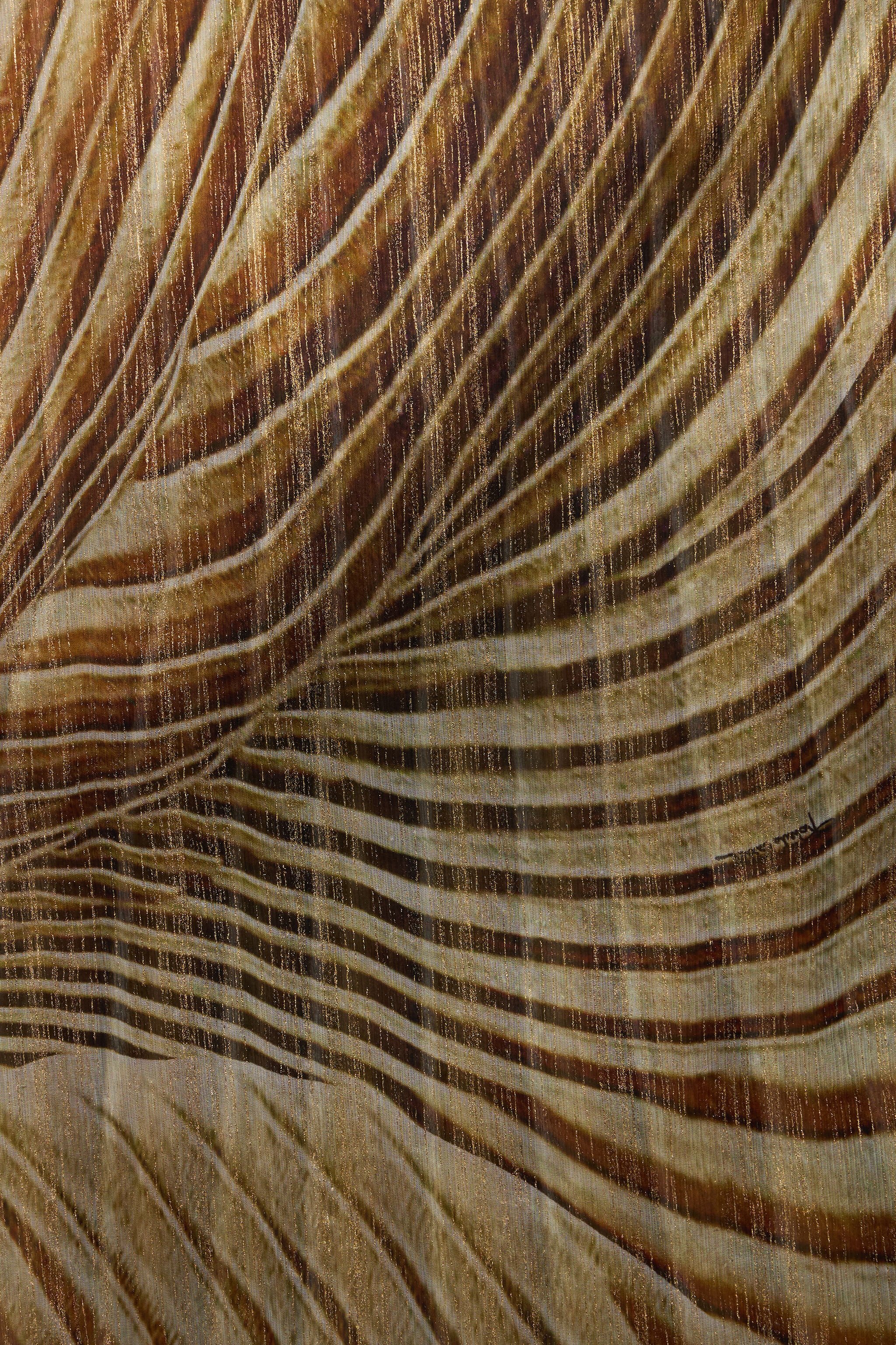 RC Silk Stole with Ray Of Gold Print RC Silk Stole with Ray Of Gold Print NATURAL/GOLD WWI003-CKS34