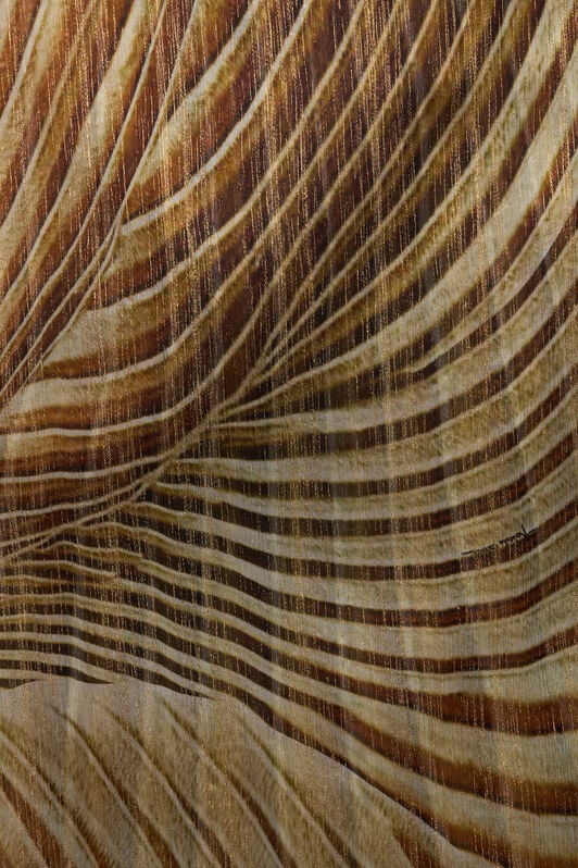 RC Silk Stole with Ray Of Gold Print RC Silk Stole with Ray Of Gold Print NATURAL/GOLD WWI003-CKS34